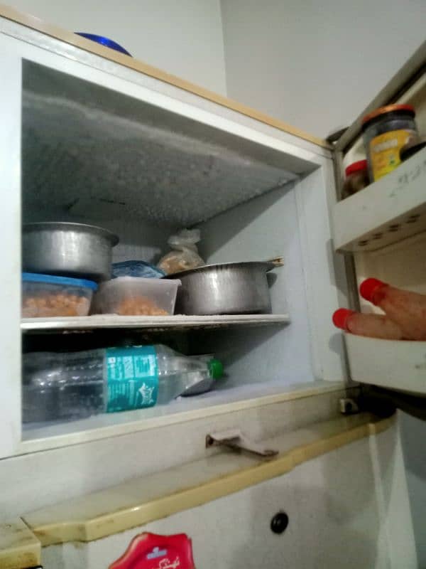 Pel Fridge Good condition for sell 4