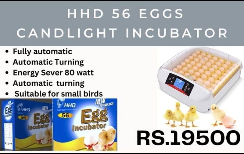 Imported eggs incubators available in 8, 18, 24, 36, 56, 64 & 70 eggs 3