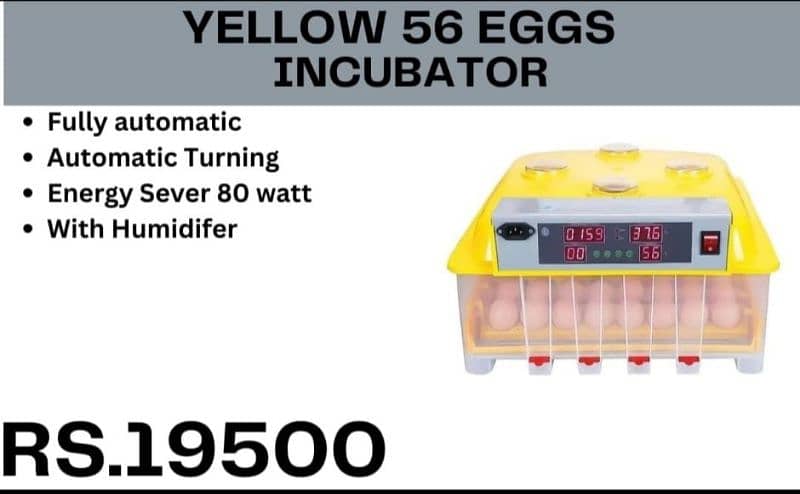 Imported eggs incubators available in 8, 18, 24, 36, 56, 64 & 70 eggs 15