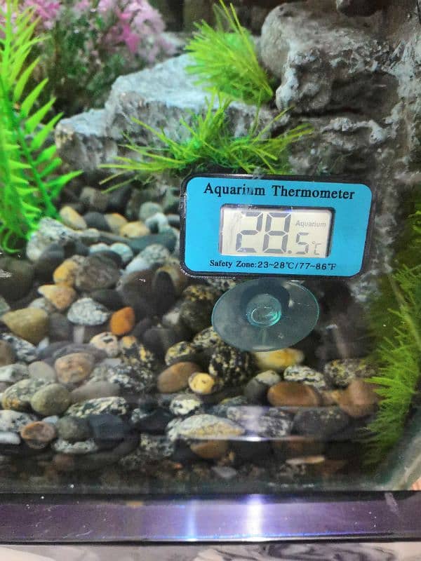 New 3D Running Aquarium For Sale. 13