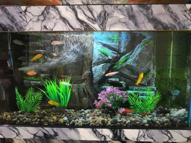 New 3D Running Aquarium For Sale. 17