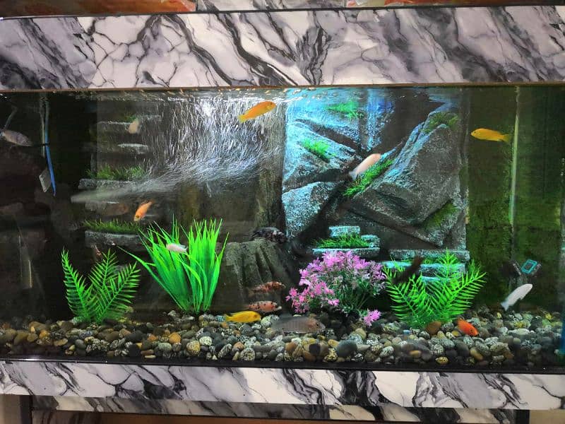 New 3D Running Aquarium For Sale. 18