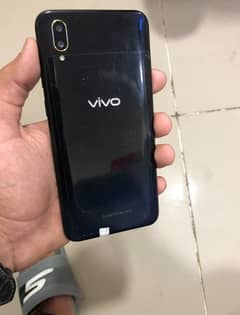 vivo