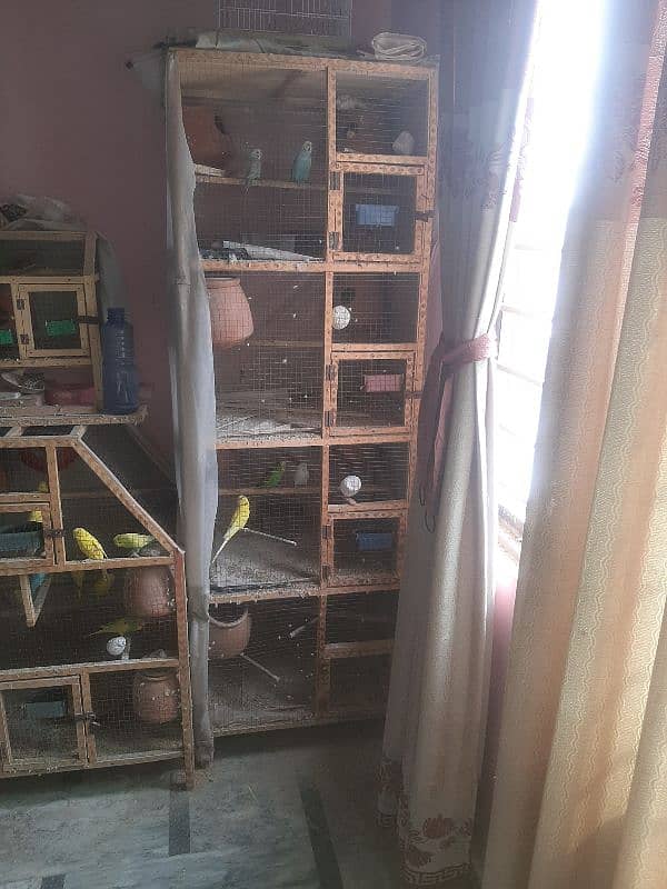 Multipurpose 4 portion birds cage for sale 2