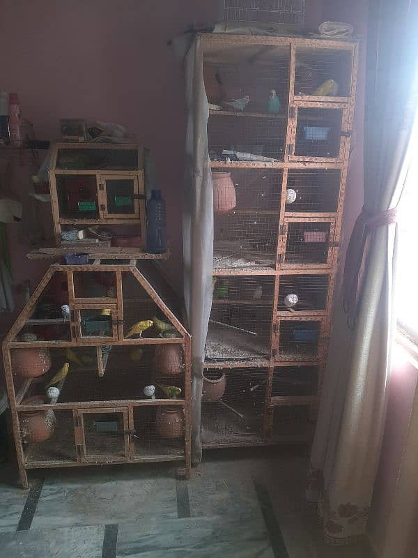 Multipurpose 4 portion birds cage for sale 3