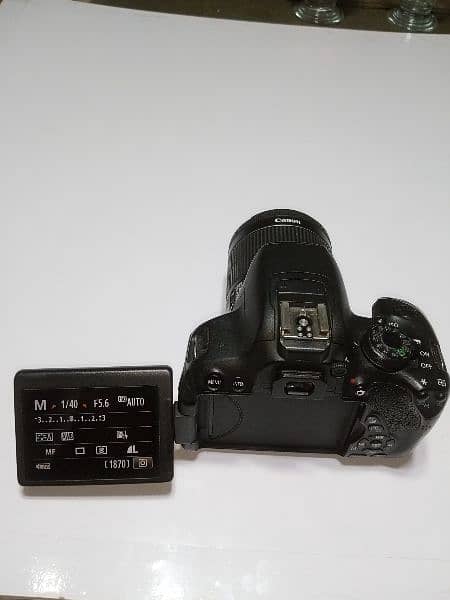 Canon Eos 700 d with original Stm lens 0