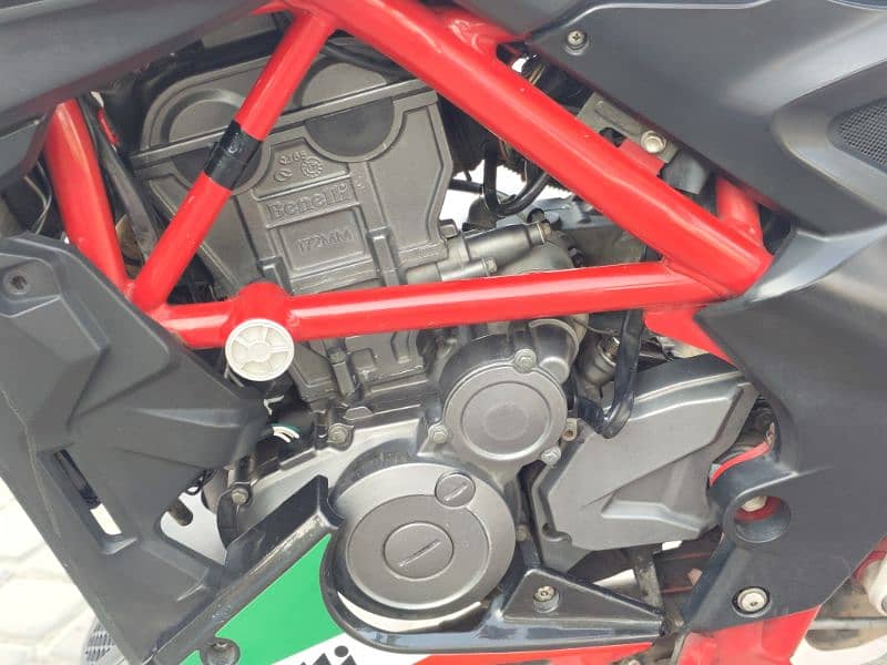 BENELLI TNT 25 ITALIAN EFI (2018) MODEL 7