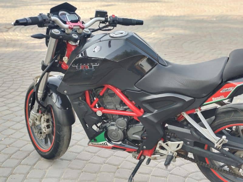 BENELLI TNT 25 ITALIAN EFI (2018) MODEL 8