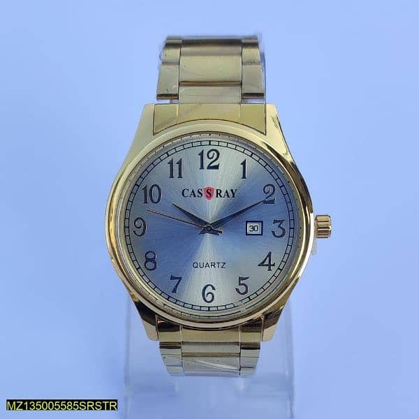 Brand New CasSray Watch 0