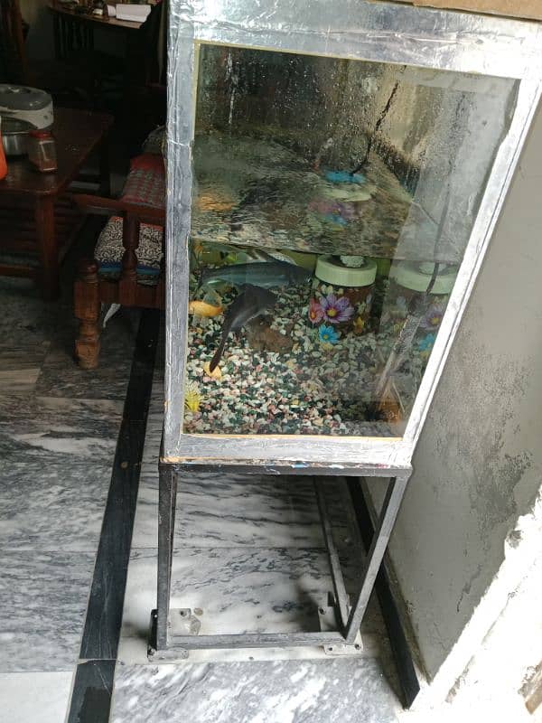 Big size aquarium with fishes for sale in 11k fix 4