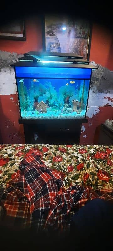 Aquarium with fishs big size 2.50 foot. 1