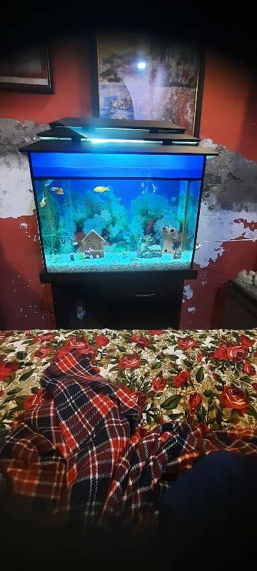 Aquarium with fishs big size 2.50 foot. 2