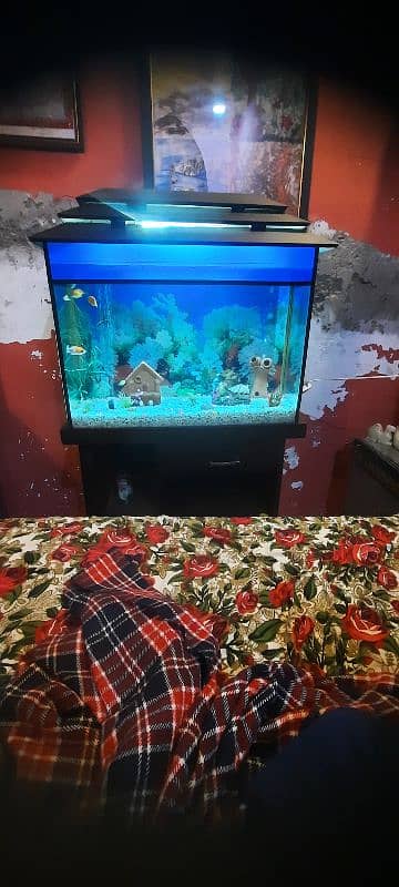 Aquarium with fishs big size 2.50 foot. 4