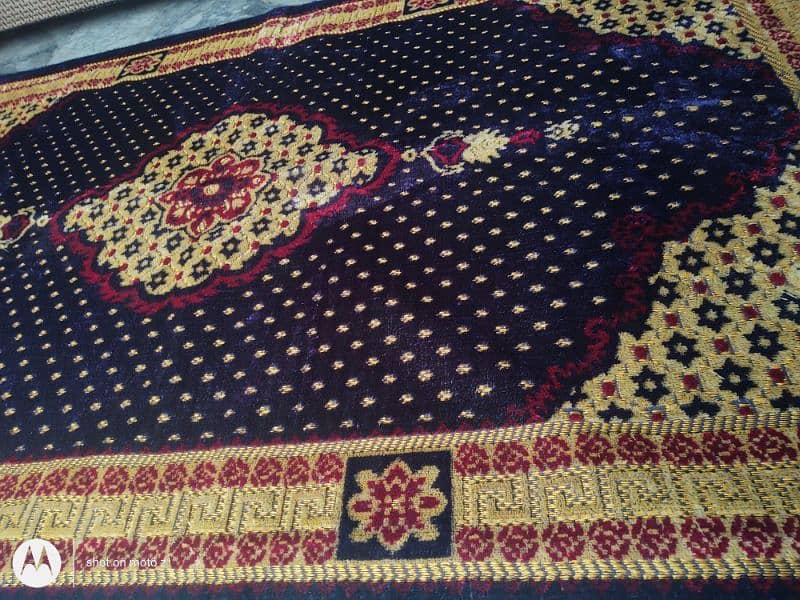 Irani carpet 5×9 fit 3