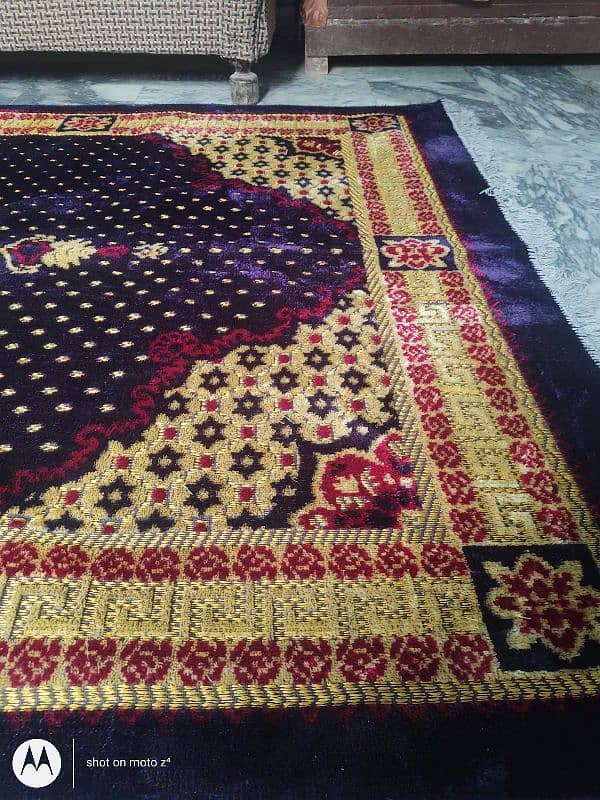 Irani carpet 5×9 fit 4