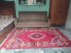 Irani rugs 5×9 fit