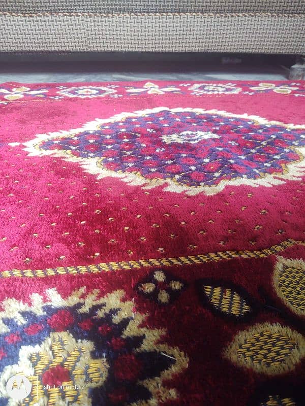 Irani rugs 5×9 fit 6