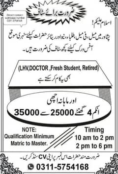 office work male and female staff required