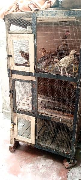 3portion cages for sale 1