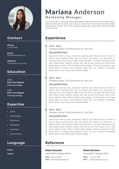 Professional Resume CV Writing / Consultation