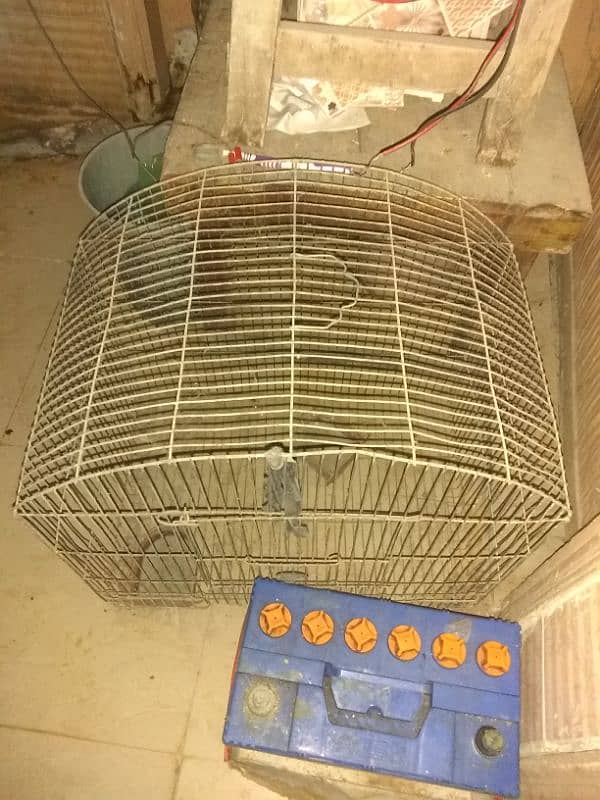 iron cage+chair urgent sale 0