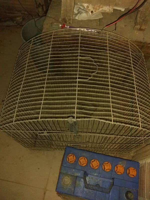 iron cage+chair urgent sale 1