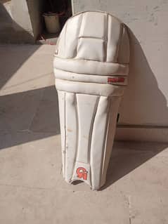 hard Ball cricket kit