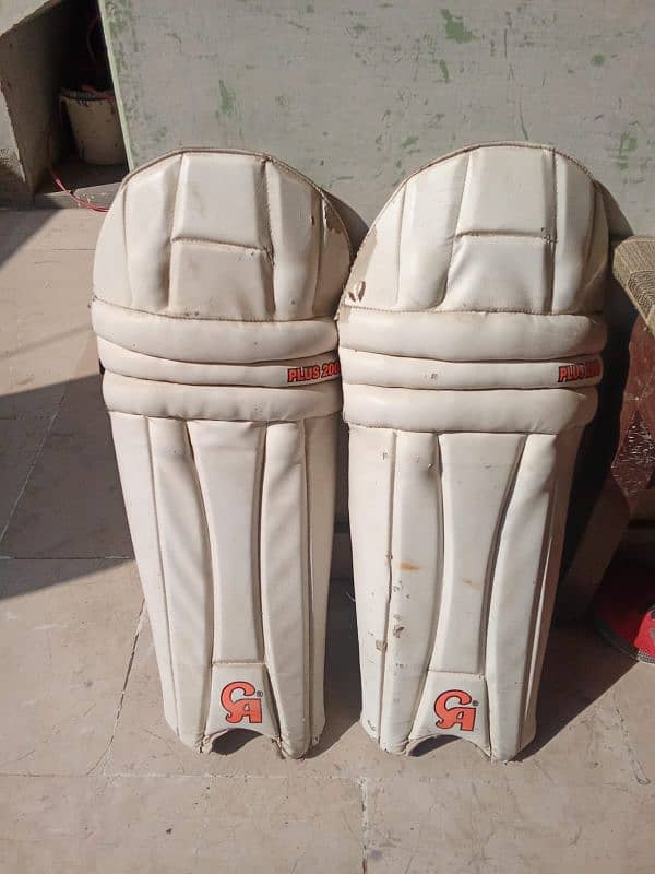 hard Ball cricket kit 5