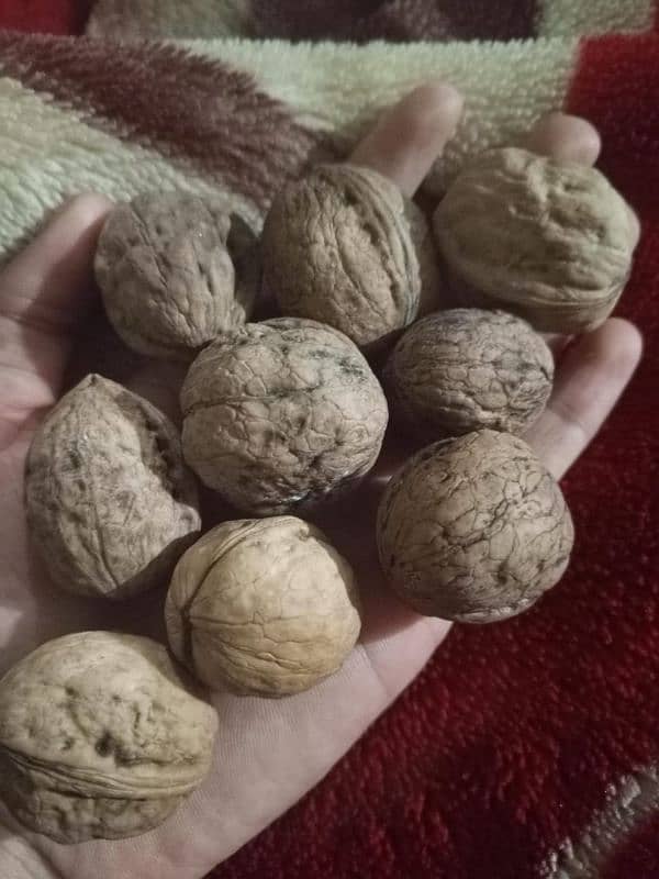 Desi fresh akhrot (walnuts) 2