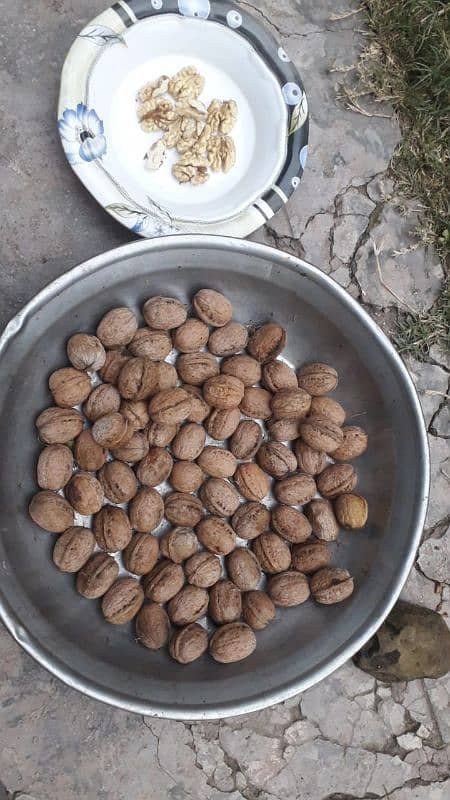 Desi fresh akhrot (walnuts) 3