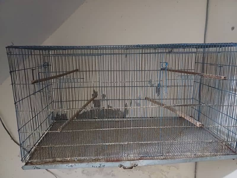 folding cage 1