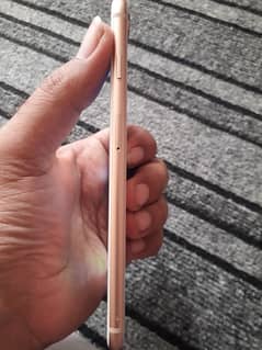 iphone 8 plus 256gb