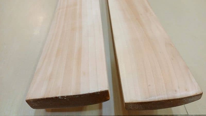 Hard boll bat with in English Willow 4