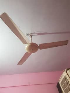 Fan  . .