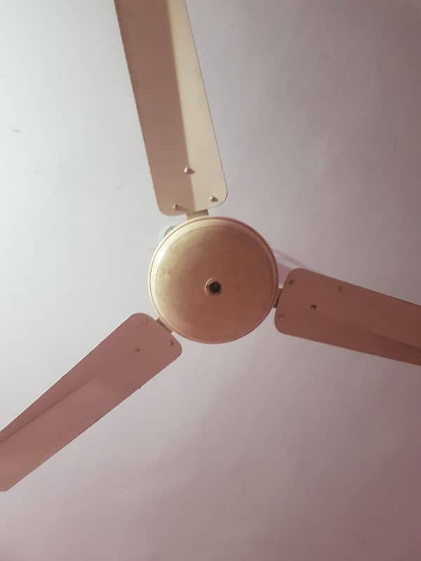 Fan  . . 1