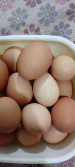 DESI EGG FOR SALE