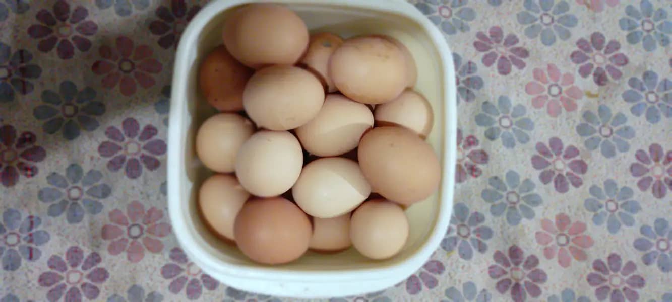 DESI EGG FOR SALE 1