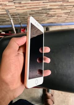 IPhone 8 Plus Pta Exchange Possible