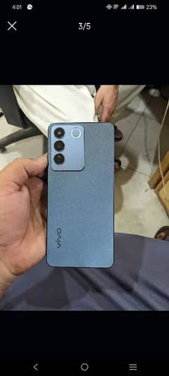 vivo