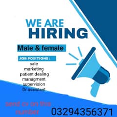 we are hiring male and female