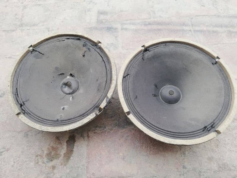 10 inch speakers 2