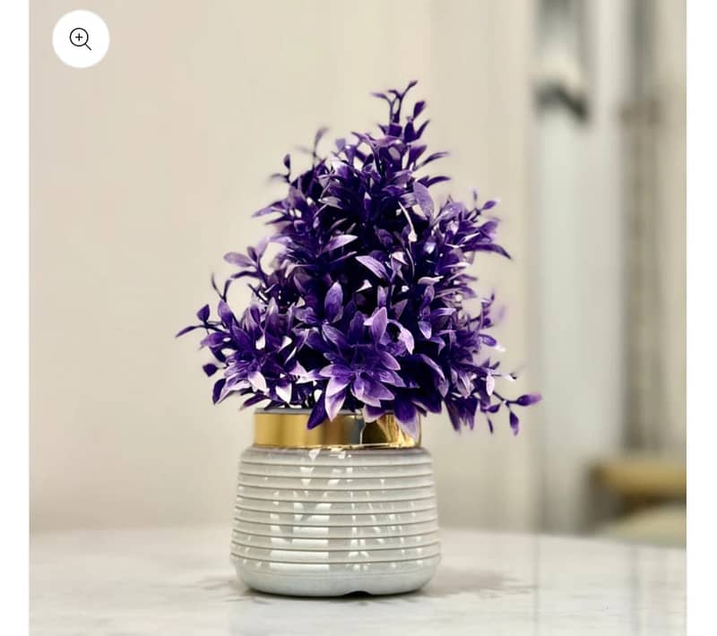 Miniature Tree planter for Home and Office Decor 4