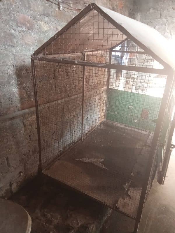 hen cage 2