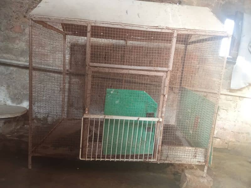 hen cage 3