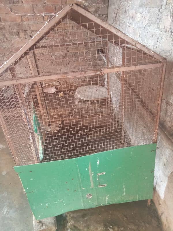 hen cage 4