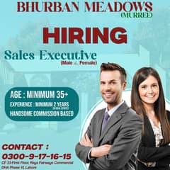 Male And Female Sales Executive