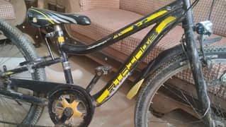 imported Cycle for sale