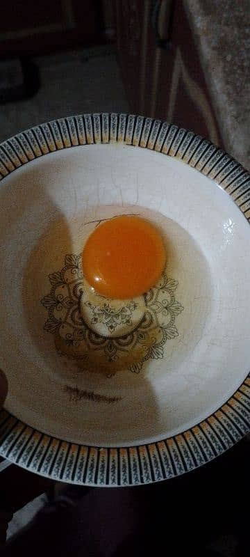 dessi eggs ghr k pure 03077027814 rabta number whtss app 1