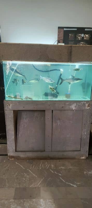 4fit aquarium with fishes 1