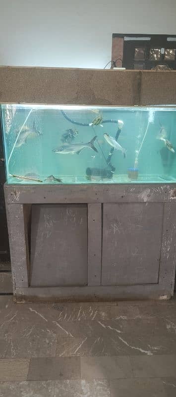 4fit aquarium with fishes 2